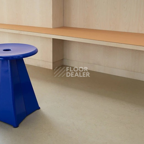 Forbo Marmoleum Solid Concrete 3758 shale фото 2 | FLOORDEALER